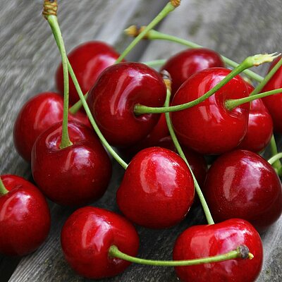 Kirschen Obst