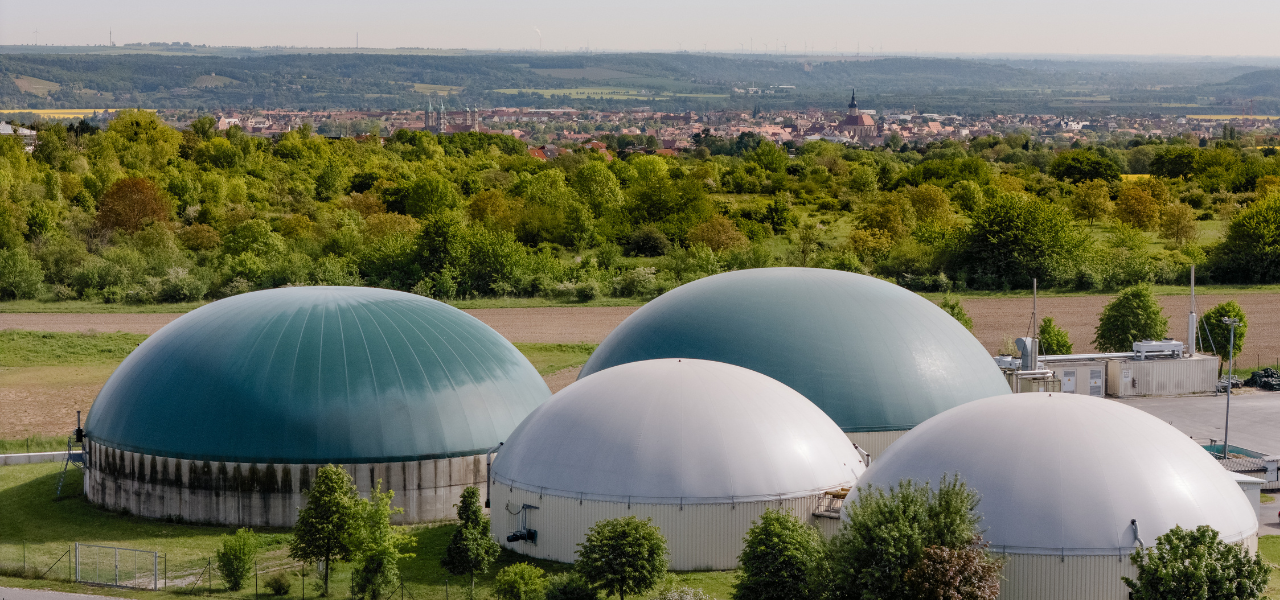 Vom Feld ins Wärmenetz Vom Feld ins Wärmenetz